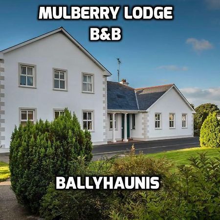 Mulberry Lodge Guest House Ballyhaunis Esterno foto